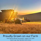 Certified Glyphosate Residue Free Hard White Wheat, Soft White Wheat, And Hard Red Spring Wheat | 9 Lbs | Non-Gmo Project Verifi