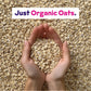 Instant Organic Oat Milk Powder, Unsweetened 10ct Carton by JOI - Dairy Free, Plant Based, Kosher, Shelf-Stable. Perfect for Smo