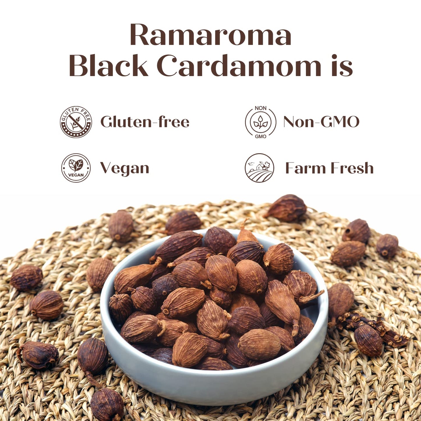 Ramaroma Black Cardamom Pods (Kali Elachi) Whole Indian Spice 3oz (85g) All Natural | Vegan | Gluten Friendly | NON-GMO | Smokey