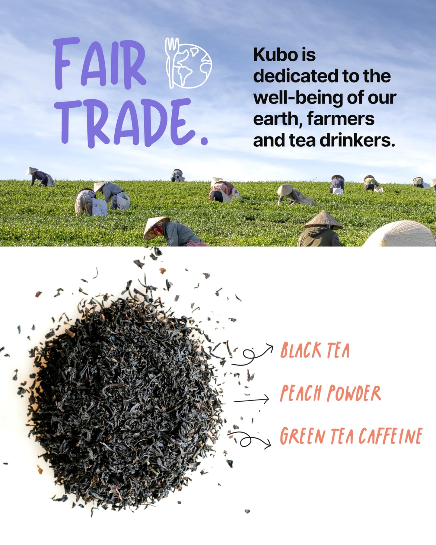 Kubo Tea Peach Mango Black Iced Tea - Organic Pillow Tea Bags - High Caffeine - 20 Servings (155mg Caffeine each) - Compostable Packaging