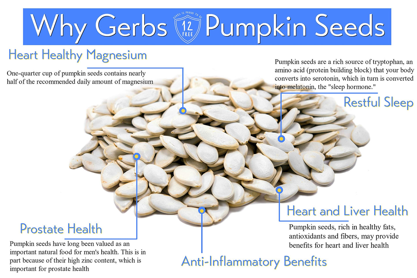 Gerbs Raw Whole Pumpkin Seeds 1 lb. | In-Shell, 10.5 mm Size, Resealable Bag | Mildly Nutty & Crunchy | Top 14 Allergen-Free