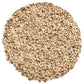 Food to Live Organic Unhulled Sesame Seeds, 16 Pounds - Non-GMO, Whole Natural Raw White Sesame Seeds, Kosher, Vegan, Bulk, Rich
