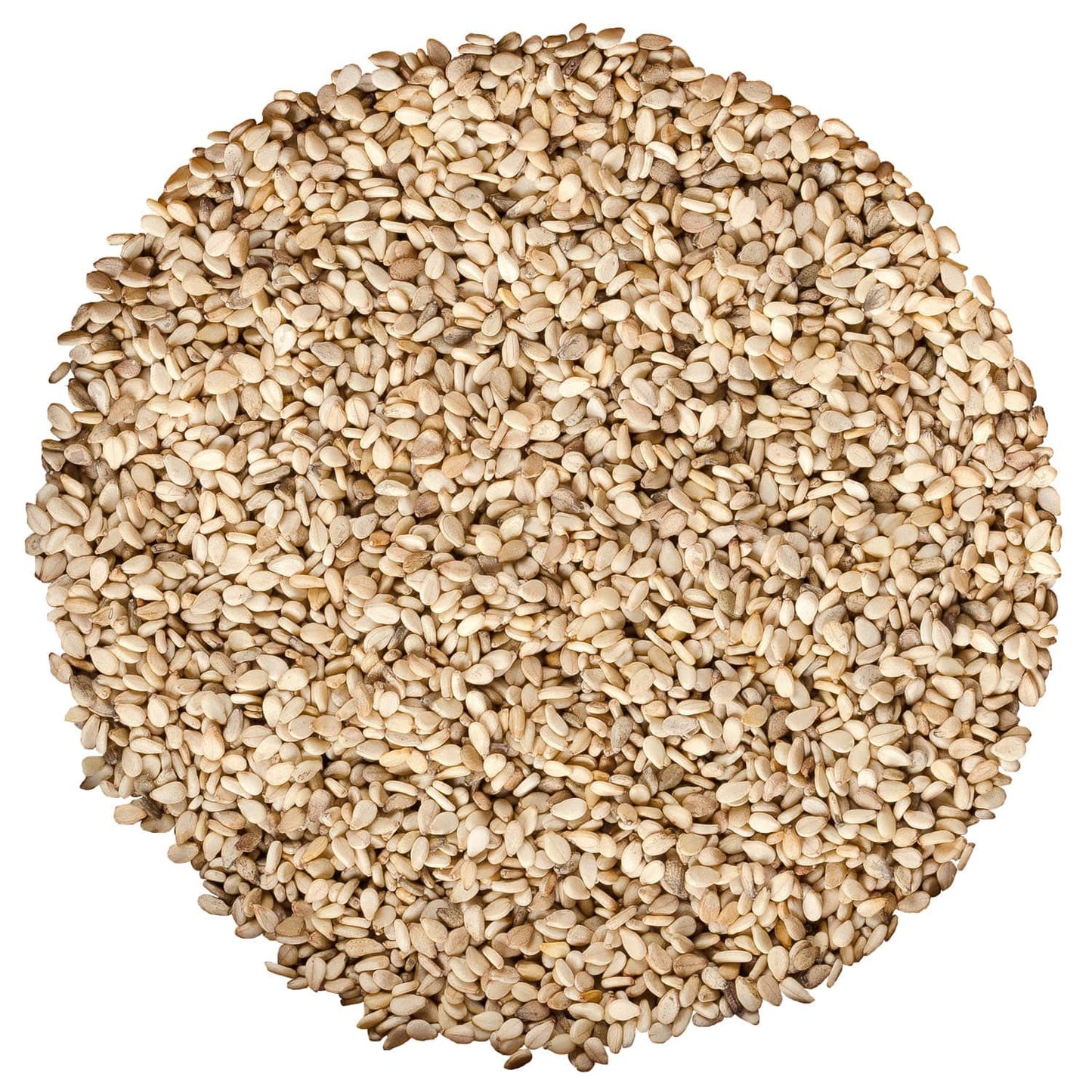 Food to Live Organic Unhulled Sesame Seeds, 16 Pounds - Non-GMO, Whole Natural Raw White Sesame Seeds, Kosher, Vegan, Bulk, Rich