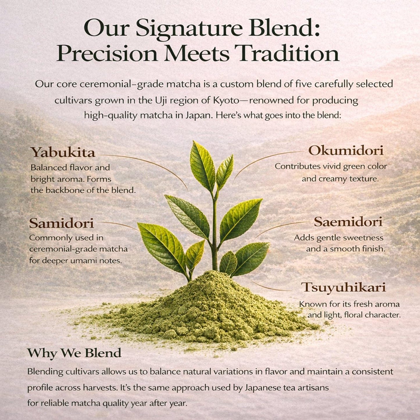 Kyoto Dew Matcha - 1 oz / 30g - USDA & JAS Organic enhanced Ceremonial Japanese Matcha Green Tea Powder - Stone-Ground First Harvest - Zero Sugar
