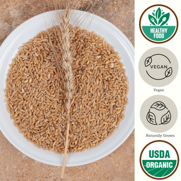 Be Still Farms Organic Hulled Barley Grain (4.8lb) - Whole Barley Groat Seed Bulk - Great for Soup, Flour, Cereal, Home Brewing,