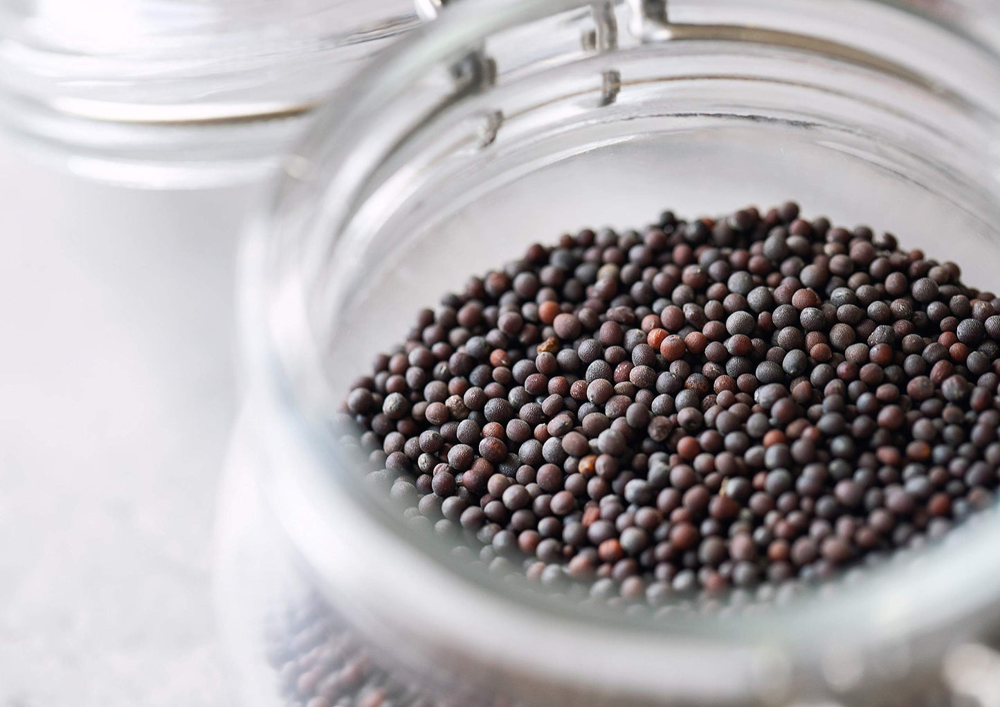 Organic Black Mustard Seeds, 18 Pounds - Non-Gmo, Whole Hot Spice, Non-Irradiated, Vegan, Kosher, Bulk. High In Protein, Fiber,