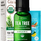 Gya Labs Australian Organic Tea Tree Oil For Skin - 100% Natural Tea Tree Oil For Hair - Tea Tree Oil For Face - Tea Tree Essent
