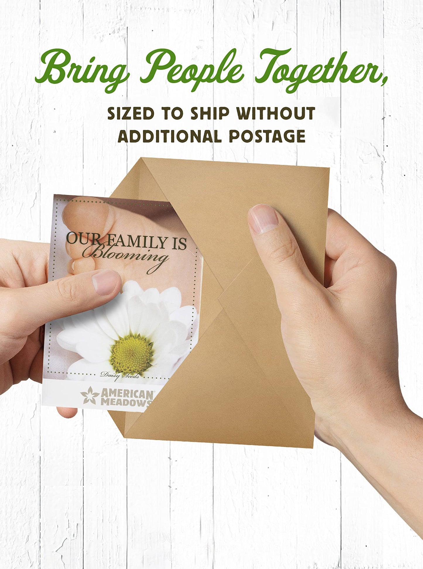 American Meadows Wildflower Seed Packets Our Family Is Blooming Baby Shower Party Favors (Pack Of 20) - Wildflower Seed Packet F