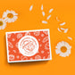 Midi International Snack Box | Premium Exotic Foreign Snacks | Unique Snack Food Gifts Included | Orange Nebula Space Theme | Ca