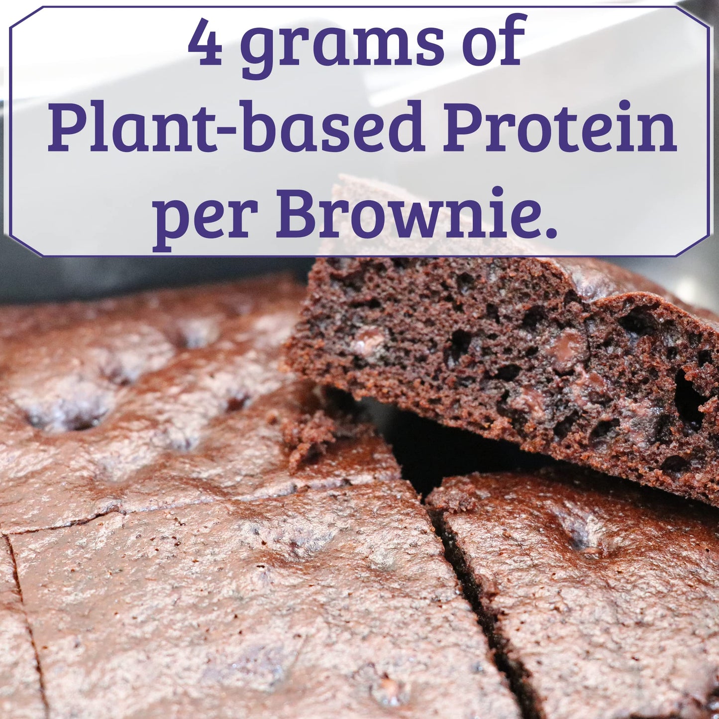 Pb2 Pantry Chocolate Chip Brownie Mix - 16 Oz Jar | Certified Vegan, Gluten Free, Non-Gmo, 4G Plant Protein Per Brownie