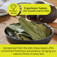 Akshit Organic Dried Avocado Leaves, 2.6oz (75g), Caffeine Free, Perfect for Tea and Cooking