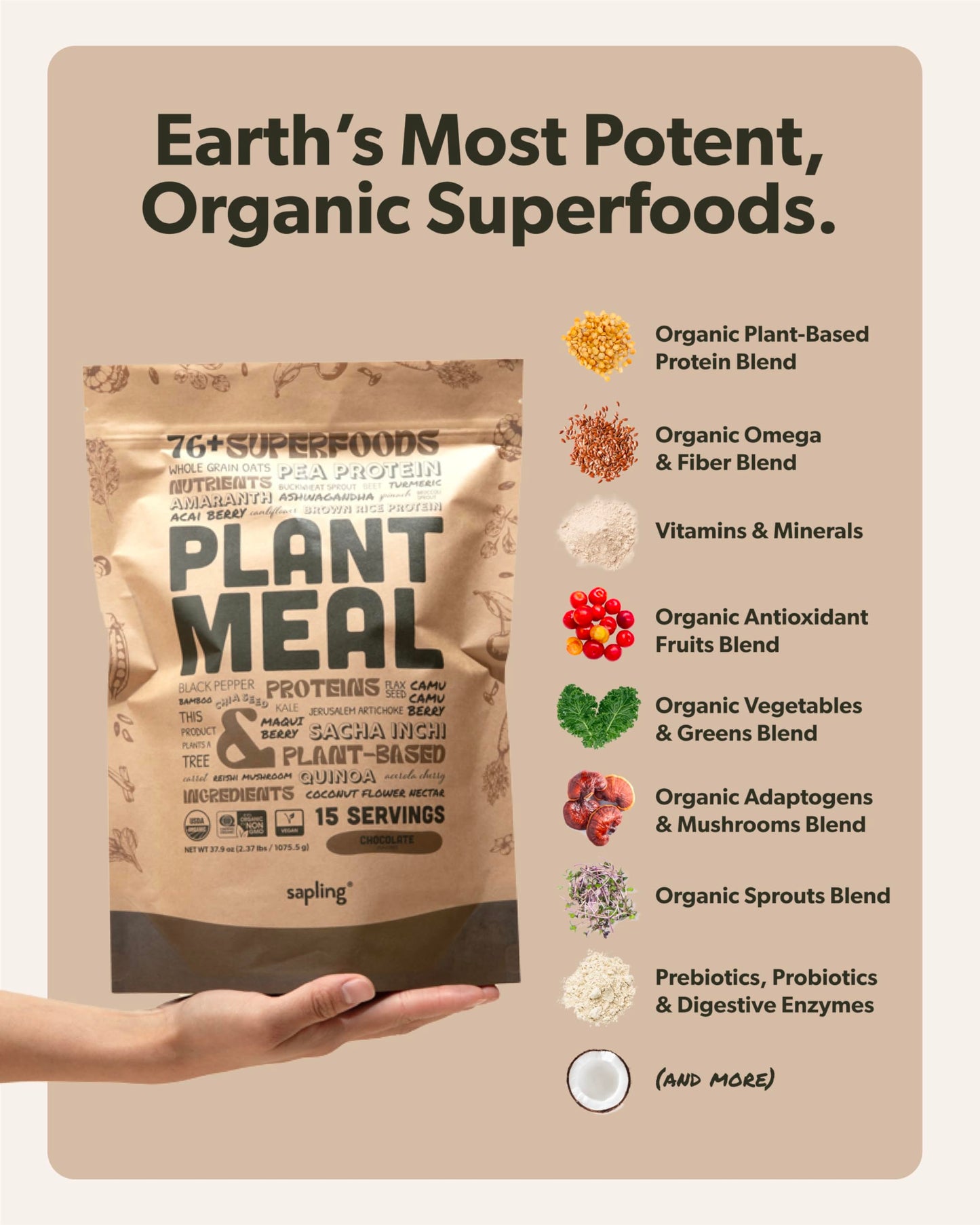 Sapling Plant Meal Replacement Shake - Chocolate, 25g Vegan Protein, 76+ Organic Superfoods, 37.9 oz, 15 Servings