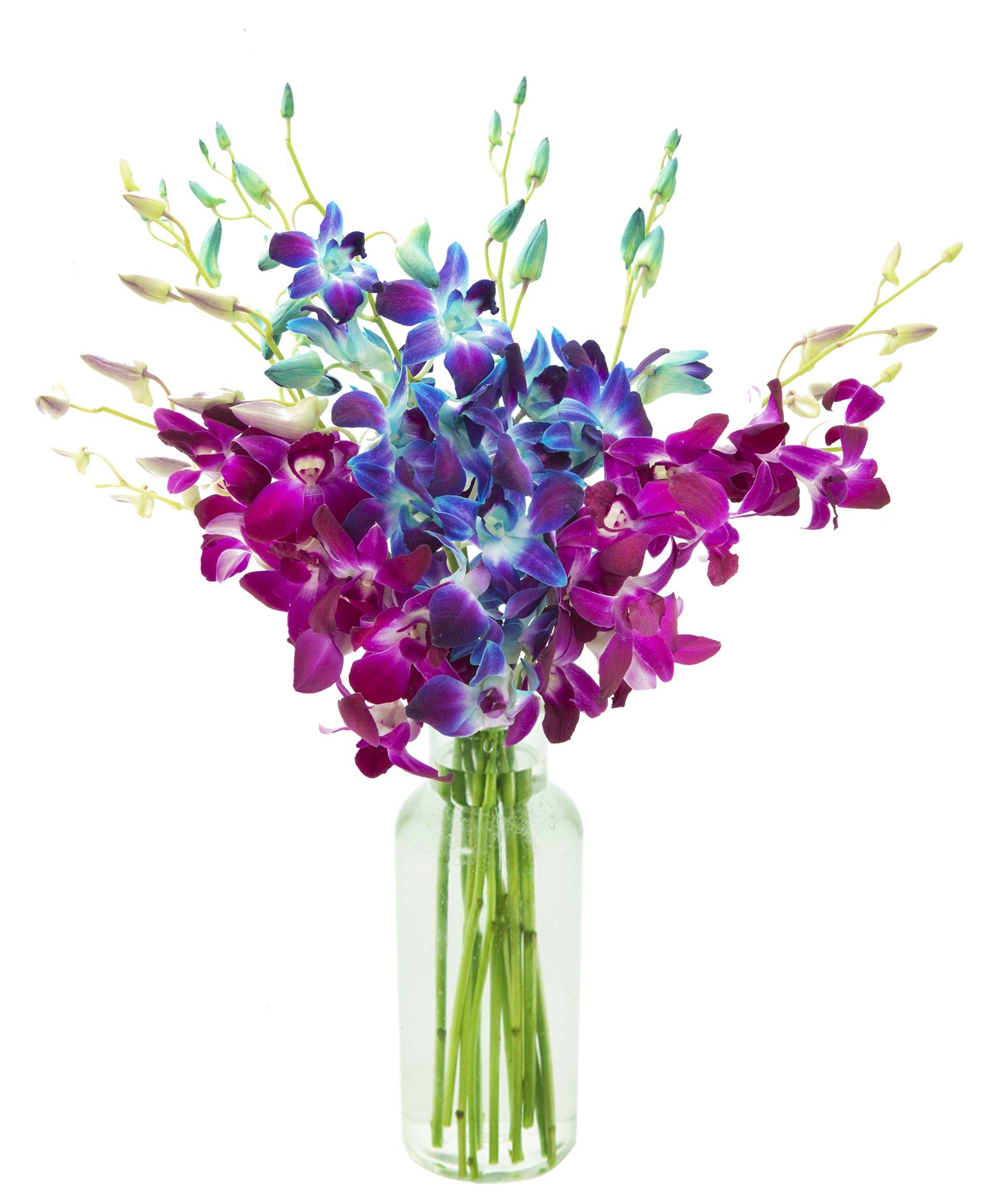Kabloom Flowers - MotherS Day Collection - Midnight In The Tropics Bouquet Of Blue And Purple Orchids From Thailand With Vase - Gift For Birthday Valentine  Mothers Day Fresh Flowers