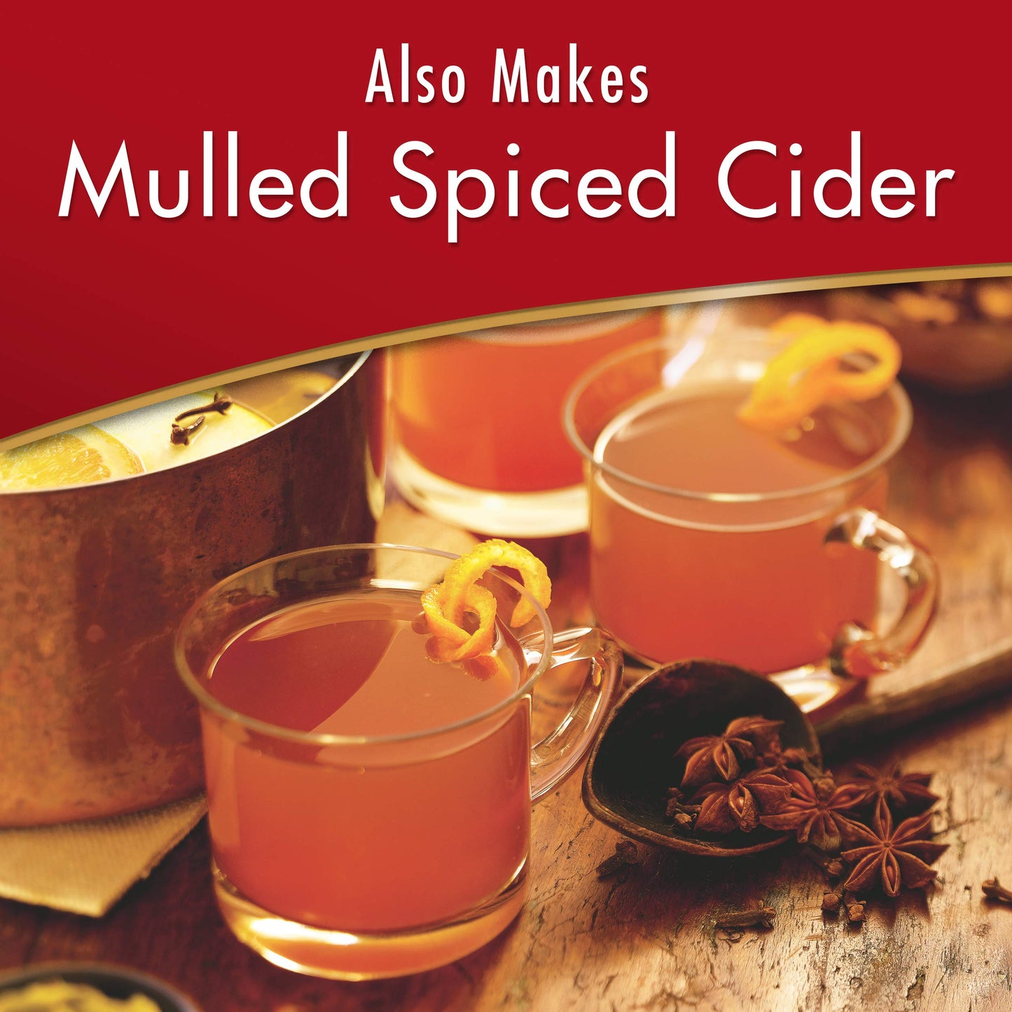 Alpine Spiced Cider Apple Flavor Drink Mix, 10 Pouches (Pack Of 1)