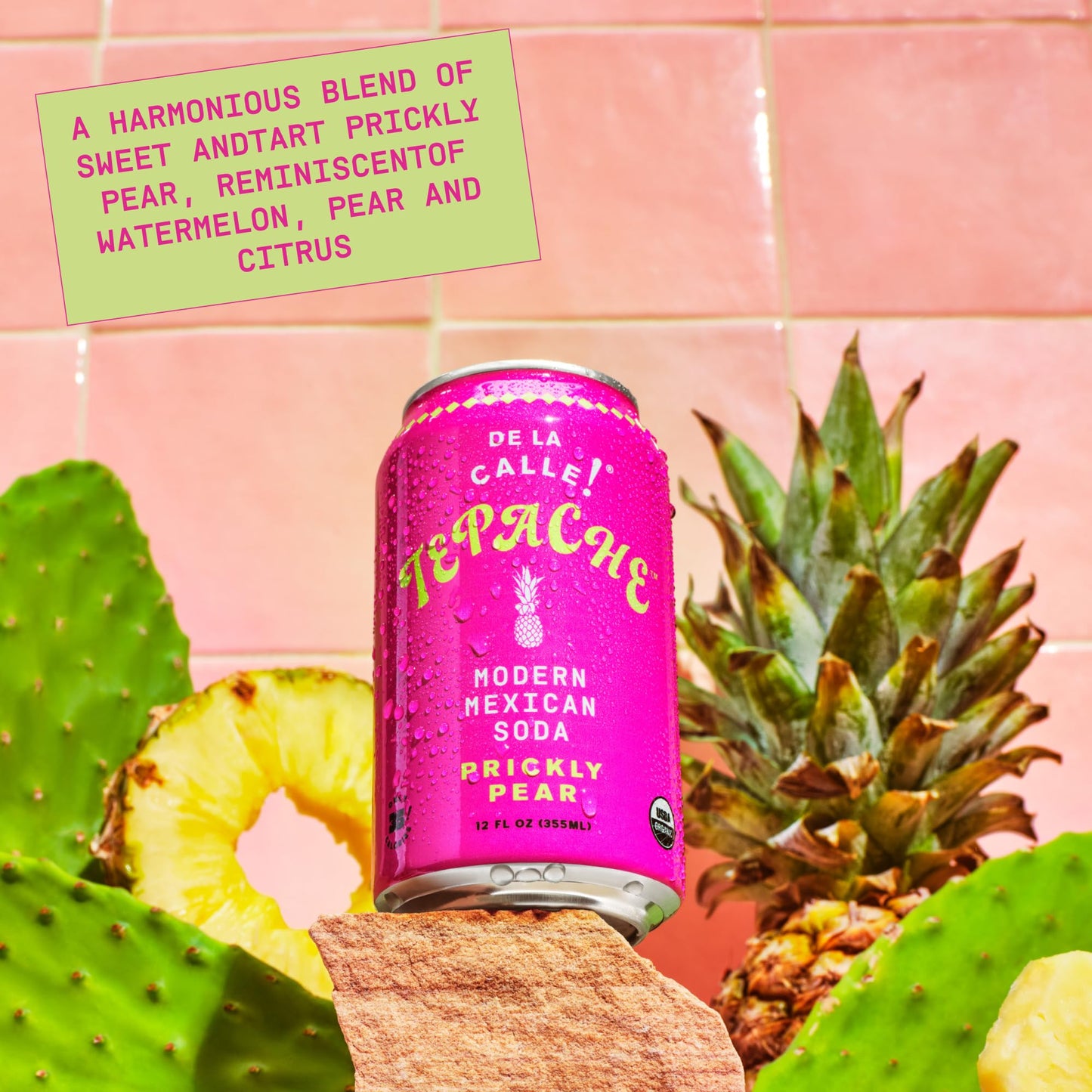 De La Calle Tepache Cactus Prickly Pear Sparkling Beverage, Organic, Low Sugar, 12 Fl Oz (Pack of 12), Clear