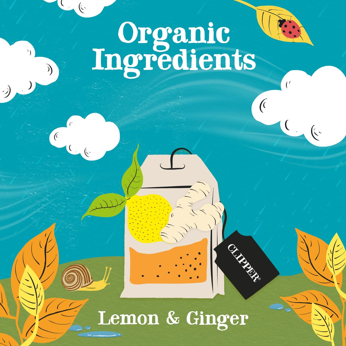 Clipper Tea Lemon & Ginger Teabags – Caffeine Free, USDA Organic – 200 Count (Pack of 4) – Great Hot or Iced