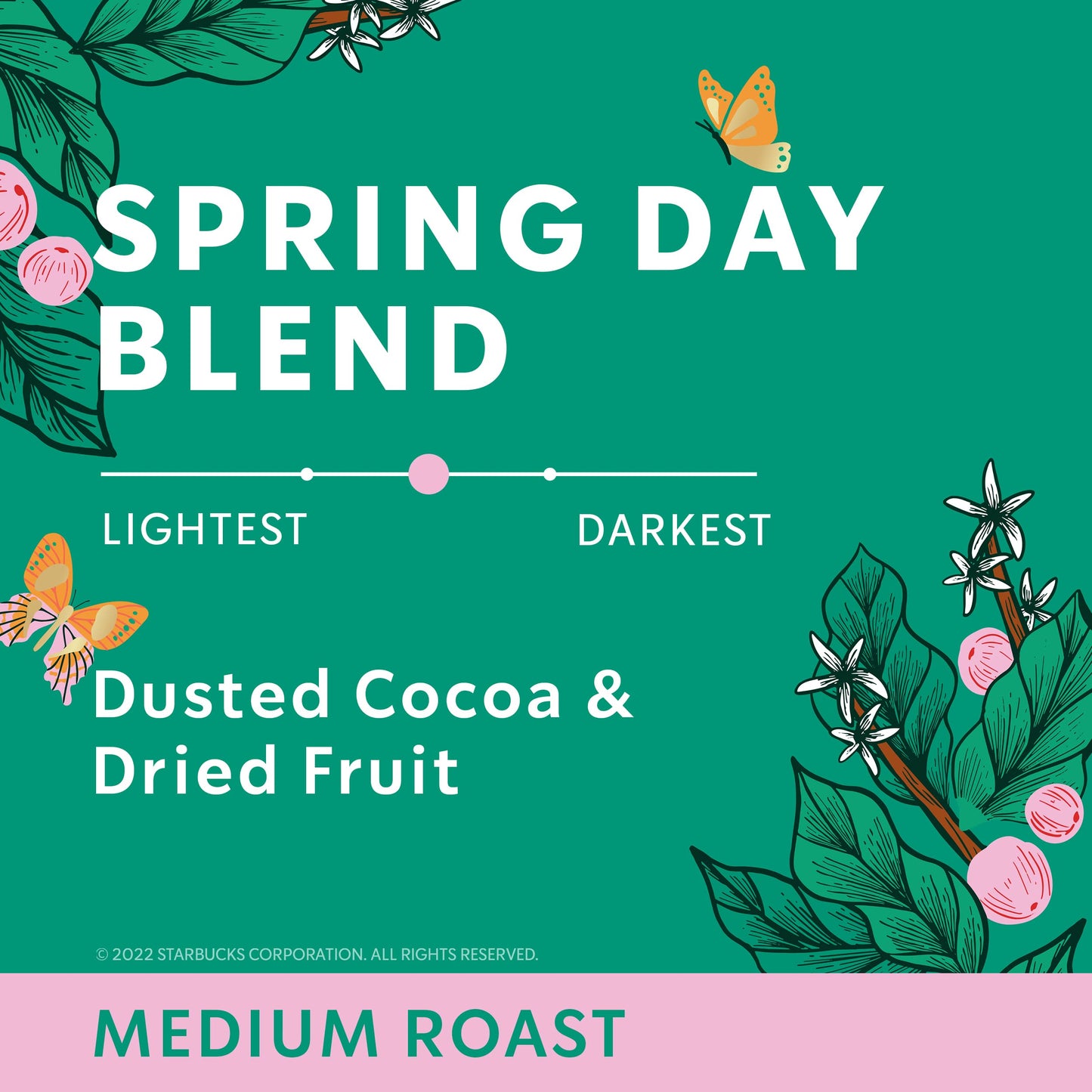 Starbucks Spring Day Blend Coffee, Roast & Ground, 17oz (Pack of 6)