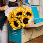 Benchmark Bouquets - 10 Stem Sunflowers (Glass Vase Included) - Fresh Flowers For Delivery - Gift For Graduation, Birthday, Anni