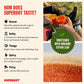 SUPEROOT Ginger Shot + Superfood Drink Mix - Immunity & Hydration - 8.47 oz - Strawberry Lime Flavor