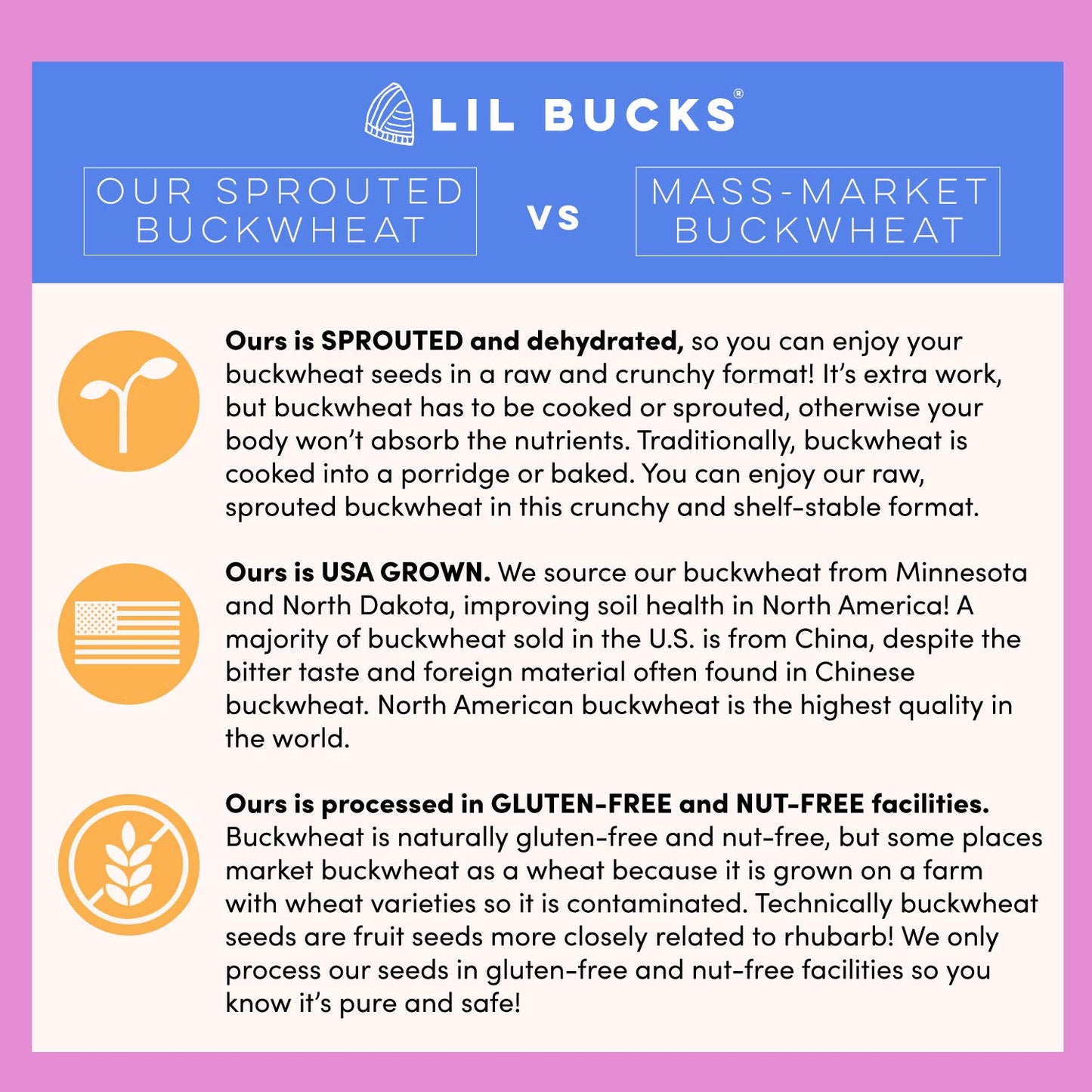 Lil Bucks Paleo Cereal - Sprouted Buckwheat Groats, Gluten Free Granola (Cacao, 3 Pack)