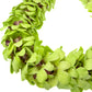 Fresh Cut Orchids Flower Leis, Fresh Orchids, Gorgeous Orchids: Long-Lasting Leis Made Of Fresh Cut Orchids, For Graduations, Pa