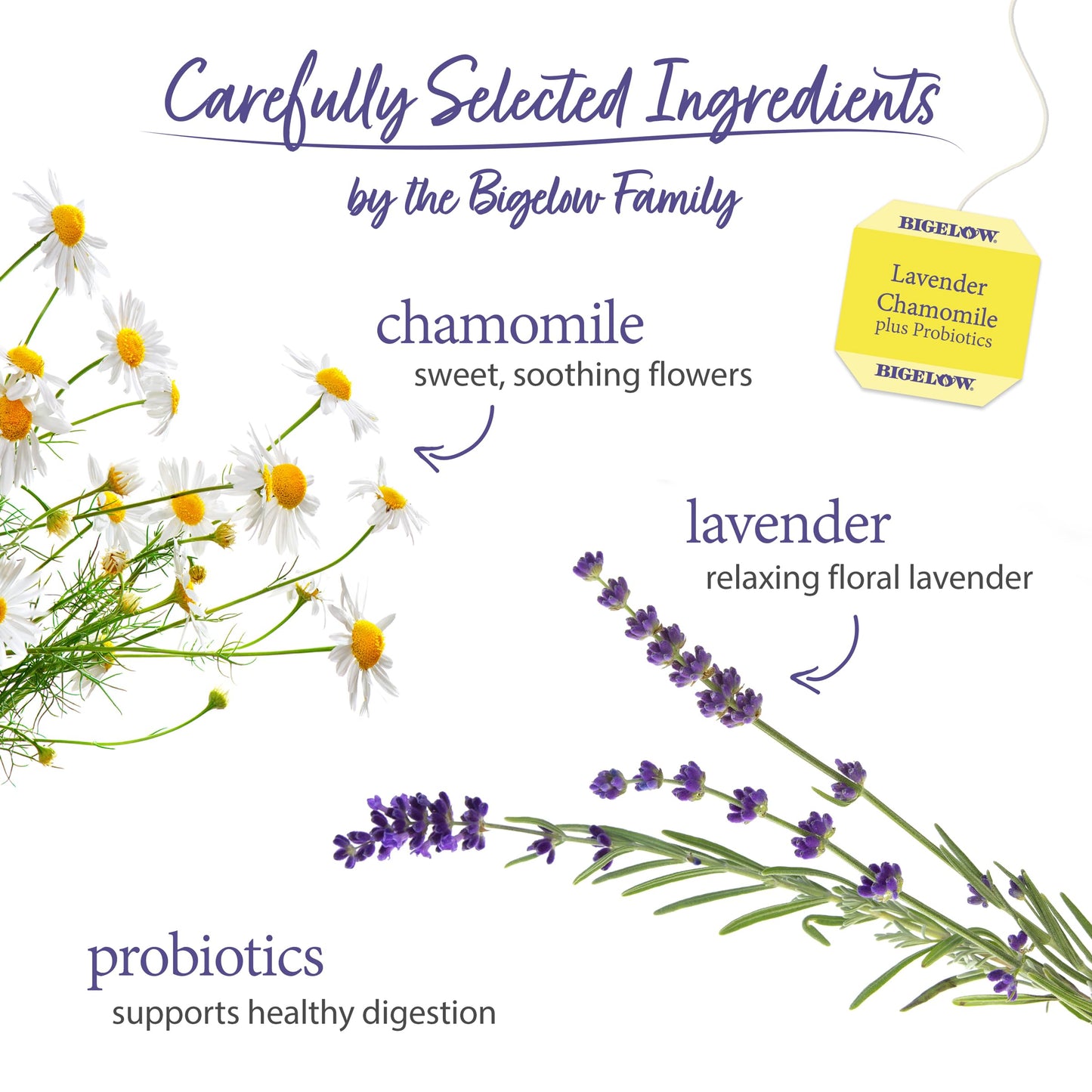 Bigelow Tea Lavender Chamomile Herbal Tea, Caffeine Free, 18 Count Box (Pack of 6), Natural, 108 Total Tea Bags