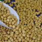 Alta Langa Hazelnuts - Terra Delle Nocciole - Piemonte, Italy