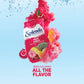 SPLENDA Liquid Water Enhancer Drops, Sugar Free, Fruit Punch, 3.11 Fl Oz Each Bottle, Pack of 2
