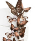 Sugar Robot Edible Butterflies - Cake Decorations, Assorted Sizes, Brown, 15 pcs, Premium Crafted, Made in the USA