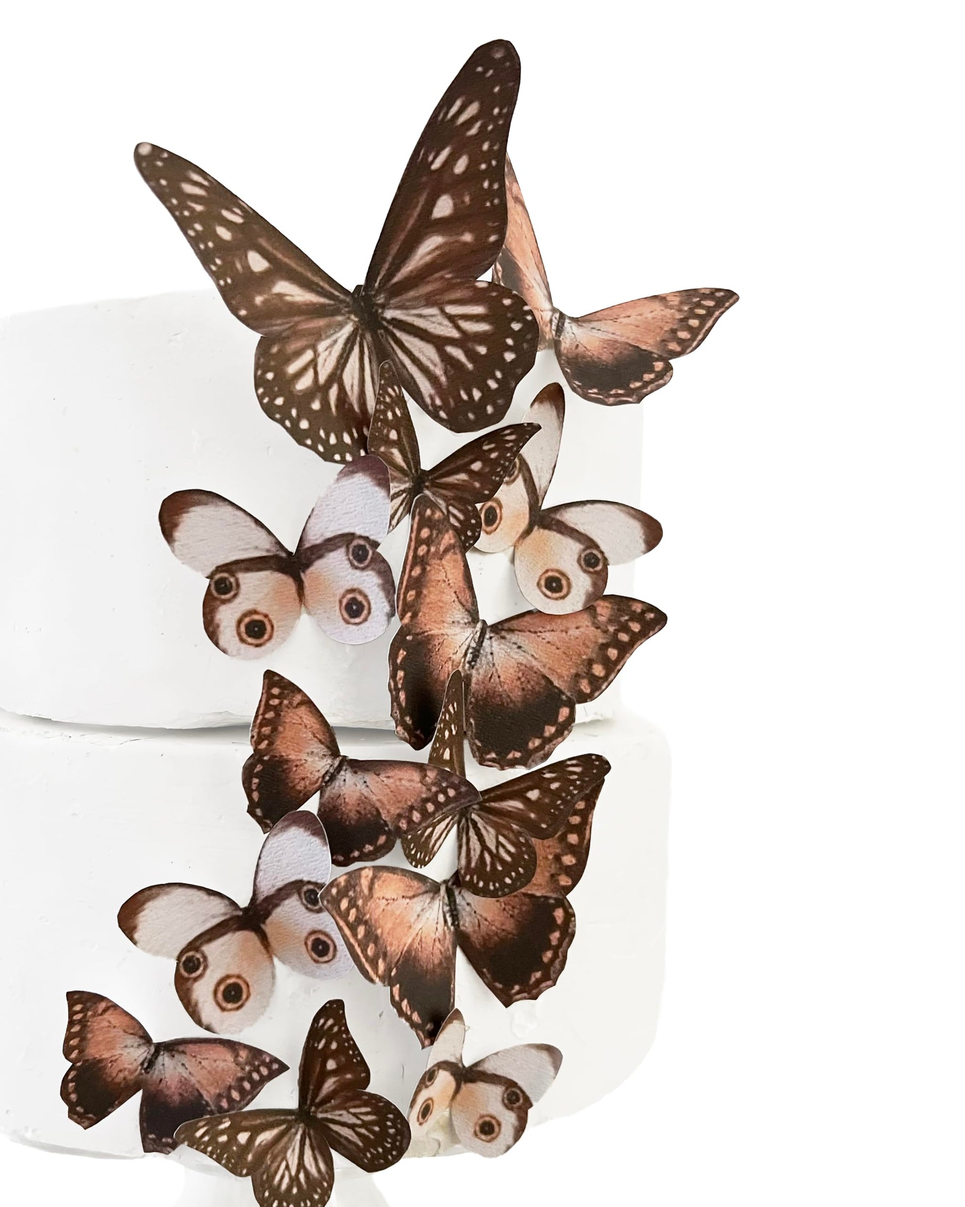 Sugar Robot Edible Butterflies - Cake Decorations, Assorted Sizes, Brown, 15 pcs, Premium Crafted, Made in the USA