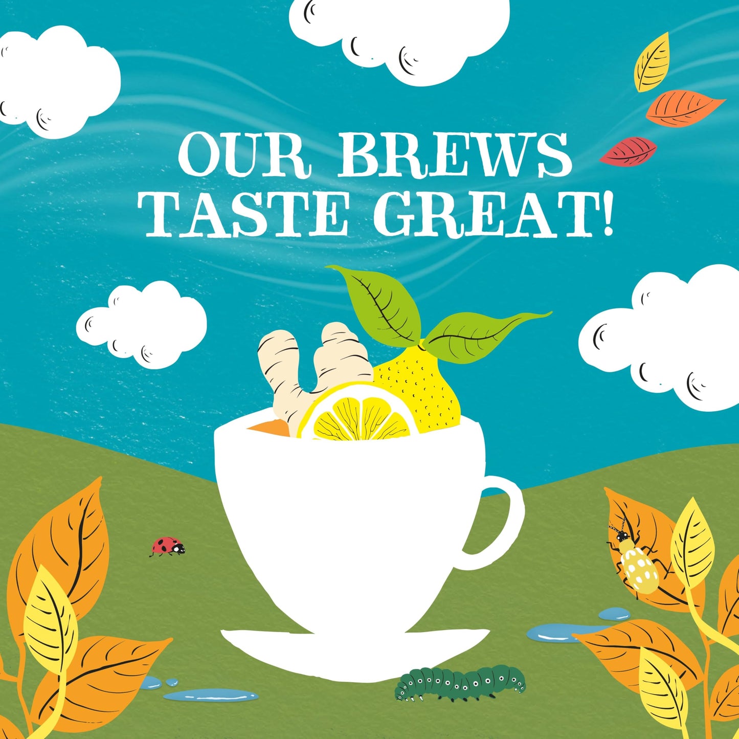 Clipper Tea Lemon & Ginger Teabags - Caffeine Free, USDA Organic, 50 Count