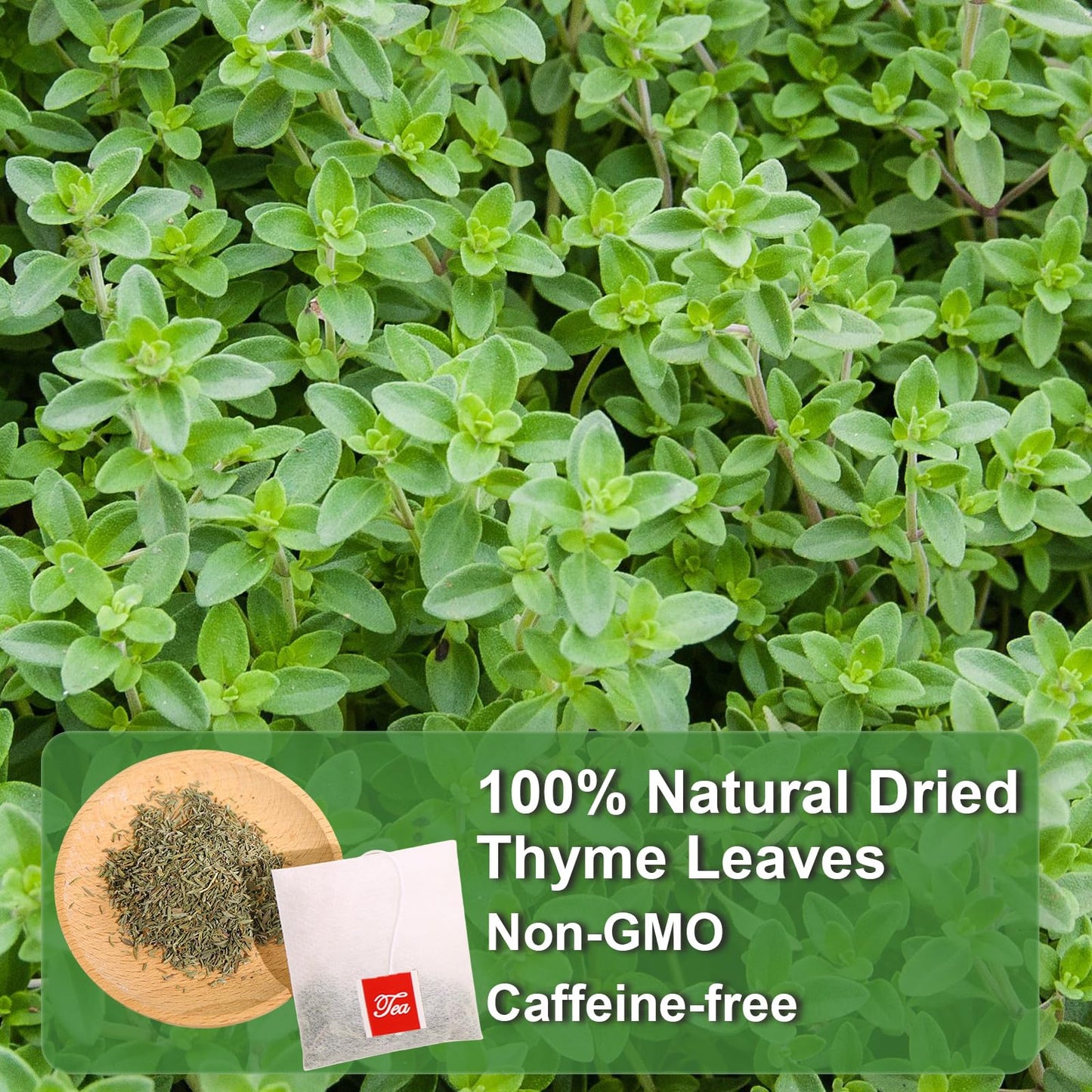 FullChea Thyme Tea Bags - Premium Non-GMO, Caffeine-Free, 40 Count