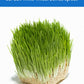 Palouse Brand Certified Glyphosate Residue Free | Soft White Wheat Berries | 36 LBS | Family Farmed in Washington State | Sprout