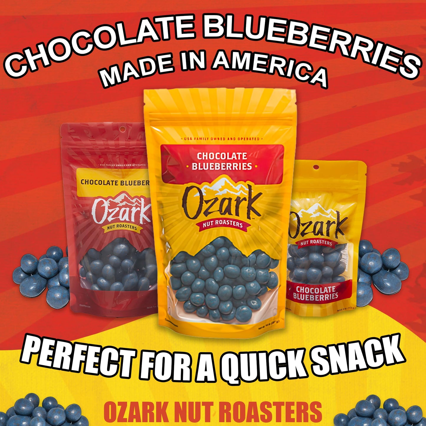 Ozark Nut Roasters Chocolate Coated Blueberries & Candied Peanuts, Gourmet Snack Nuts, Resealable Pack, 14 oz
