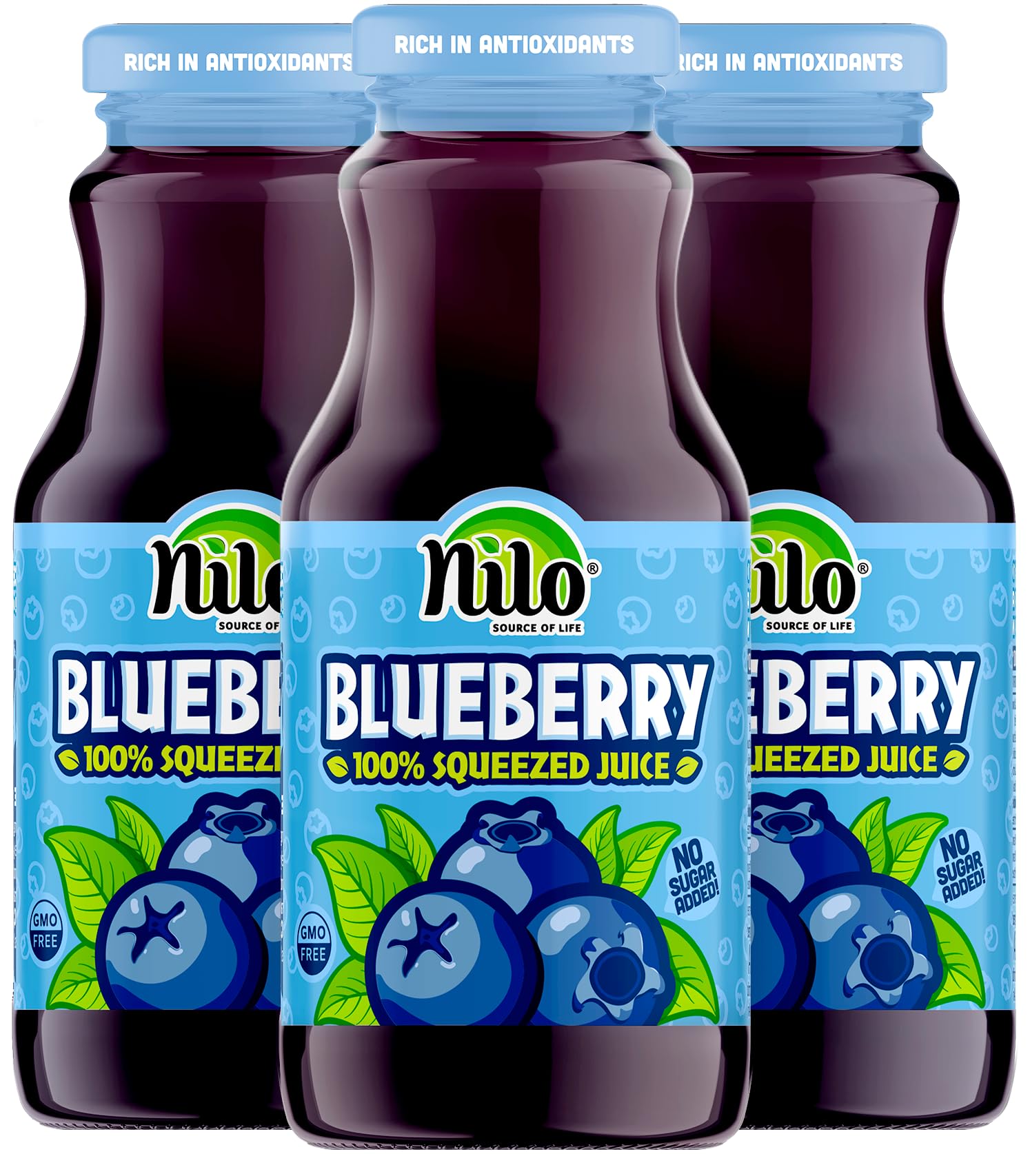NILO Blueberry Juice | 100% Squeezed Wild Blueberry Arandano | NO Sugar added | NON GMO | NOT From Concentrate | 8.45 oz (Pack o