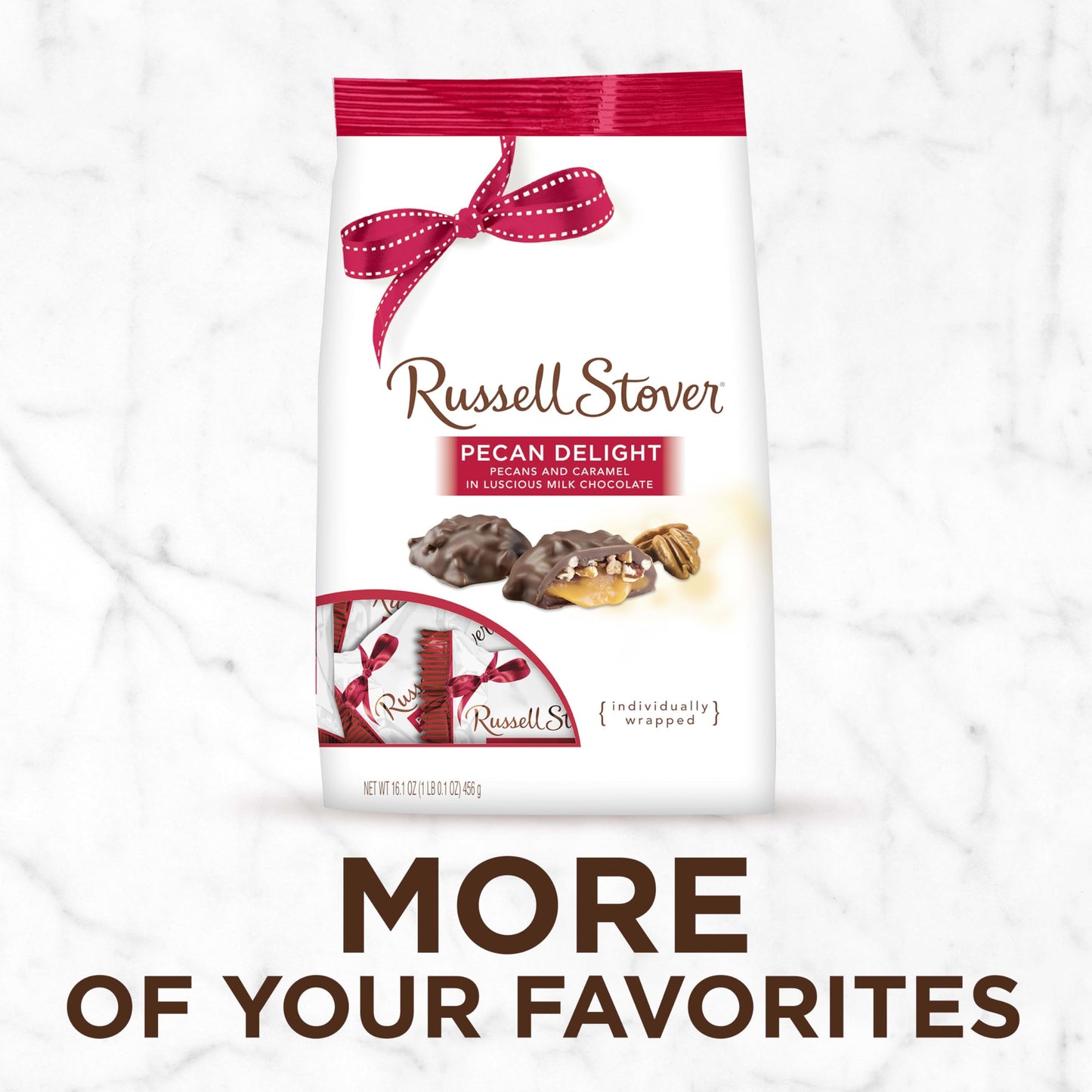 Russell Stover Pecan Delight Gusset Bag 16.10 Ounce Russel Stover Milk Chocolate Covered Candy Pack, Crunchy Pecans and Buttery