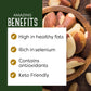 PuroRaw Brazil Nuts Raw 1lb  Raw Brazil Nuts. Brazil Nuts Unsalted - Brazil Nuts- All Natural  Non-GMO  Vegan Brazil Nuts- Brazil Nuts Bulk 16oz