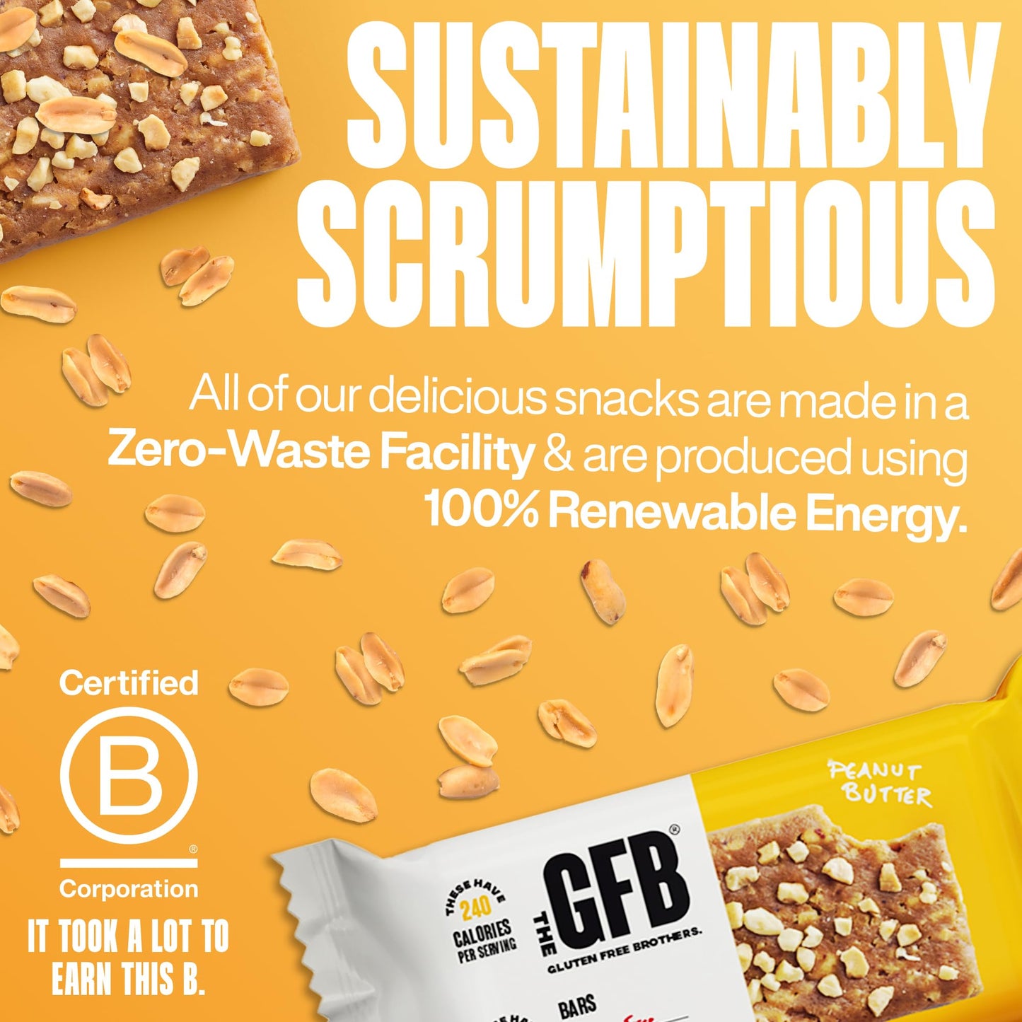 The Gfb Peanut Butter Protein Bars - Gluten Free, Plant Based, Non Gmo, Sustainably Made - Ridiculously Tasty, Healthy, Vegan, N