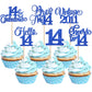 Rsstarxi 14th Birthday Cupcake Toppers, 24 Pack, Vintage 2011 Design, Blue