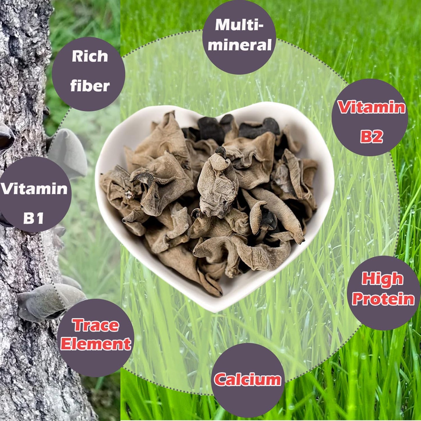 VIGOROUS MOUNTAINS Organic Dried Black Fungus Wood Ear Mushrooms, Auricularia Auricula-judae, 4OZ for Cooking