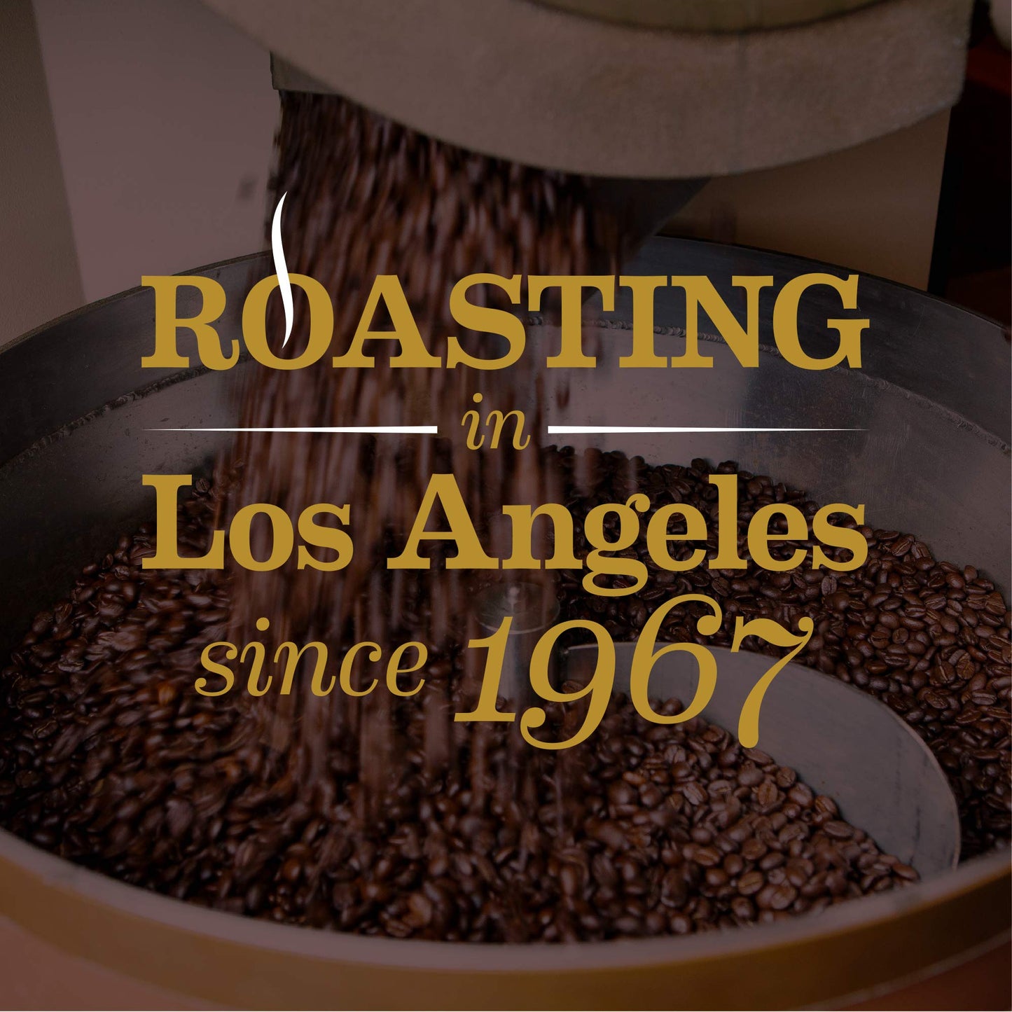 CAFÉ GAVIÑA Espresso Coffee, Rich Dark Roast Blend, Fine Ground for Lattes & Cappuccinos, 10 oz Bricks, 6 Pack