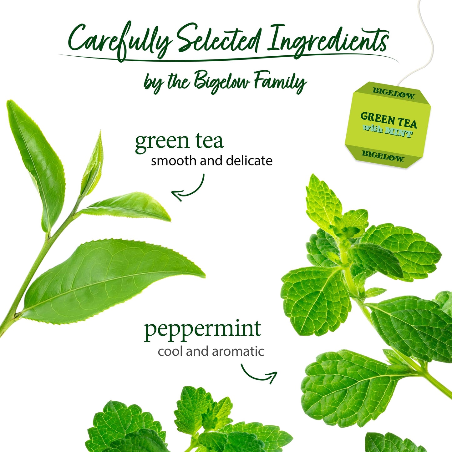 Bigelow Tea Green Tea with Mint, Caffeinated, 20 Count (Pack of 6), Model 7231000167, 120 Total Tea Bags