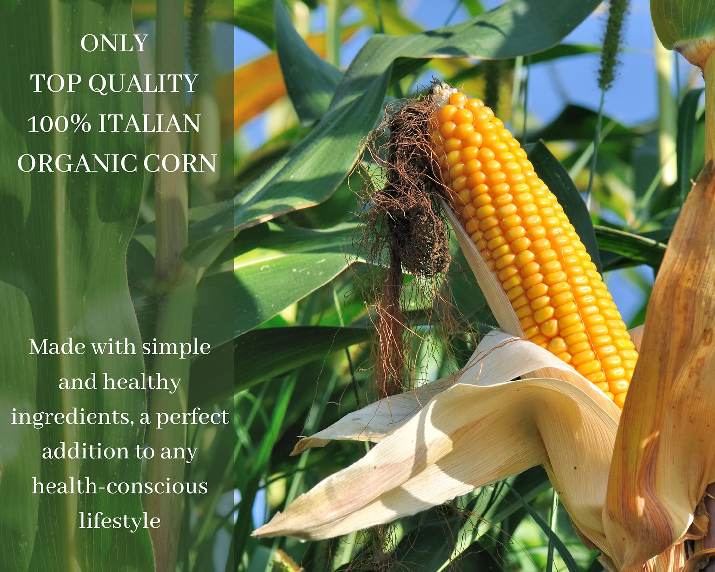 Le Asolane Certified Organic Gluten Free Ditalini Pasta | 4 Pack | Authentic Imported Italian Gourmet Pasta From Select Premium