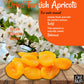 Oh! Nuts Dried Apricots Turkish - 2 Lb - Dried Fruit - No Sugar Added - Dehydrated Fruit Bites - Packed In New York Zip-Seal Bag