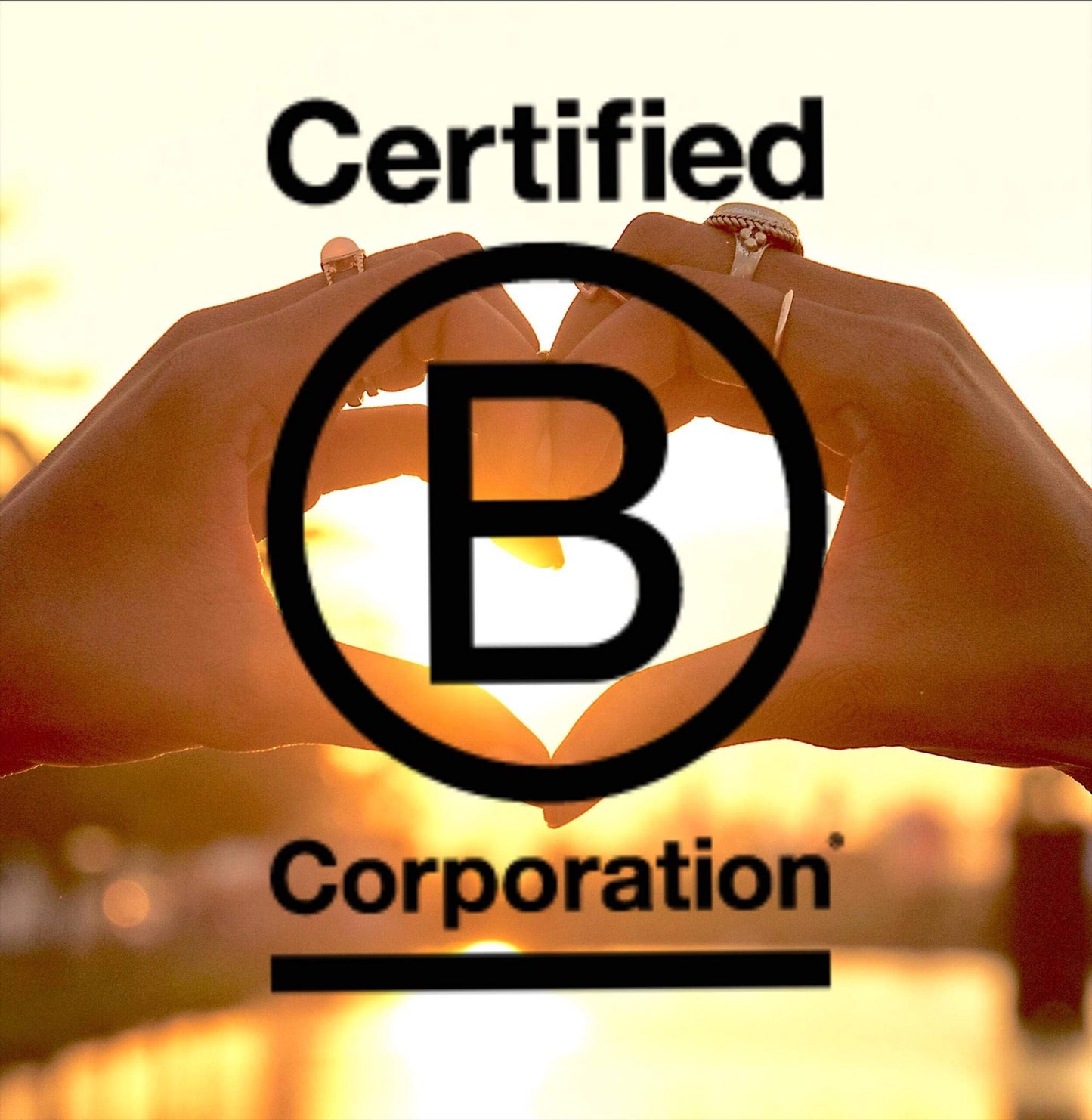 Mamma Chia Organic Chia Beverage, Blackberry Hibiscus, 10 Ounce Chia Organic Beverage, Usda Organic, Non-Gmo, Vegan, Gluten Free