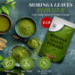 Moringa Powder 1 Lb, 100% Pure & Natural Moringa Leaf Powder, Enhanced Quality For Smoothies & Tea, Resealable Bag For Freshness - By Yogi’S Gift®