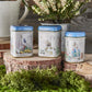 Peter Rabbit 3x Mini Tea Tins with Loose Leaf English Tea, Beatrix Potter Gift, Small Caddy Set