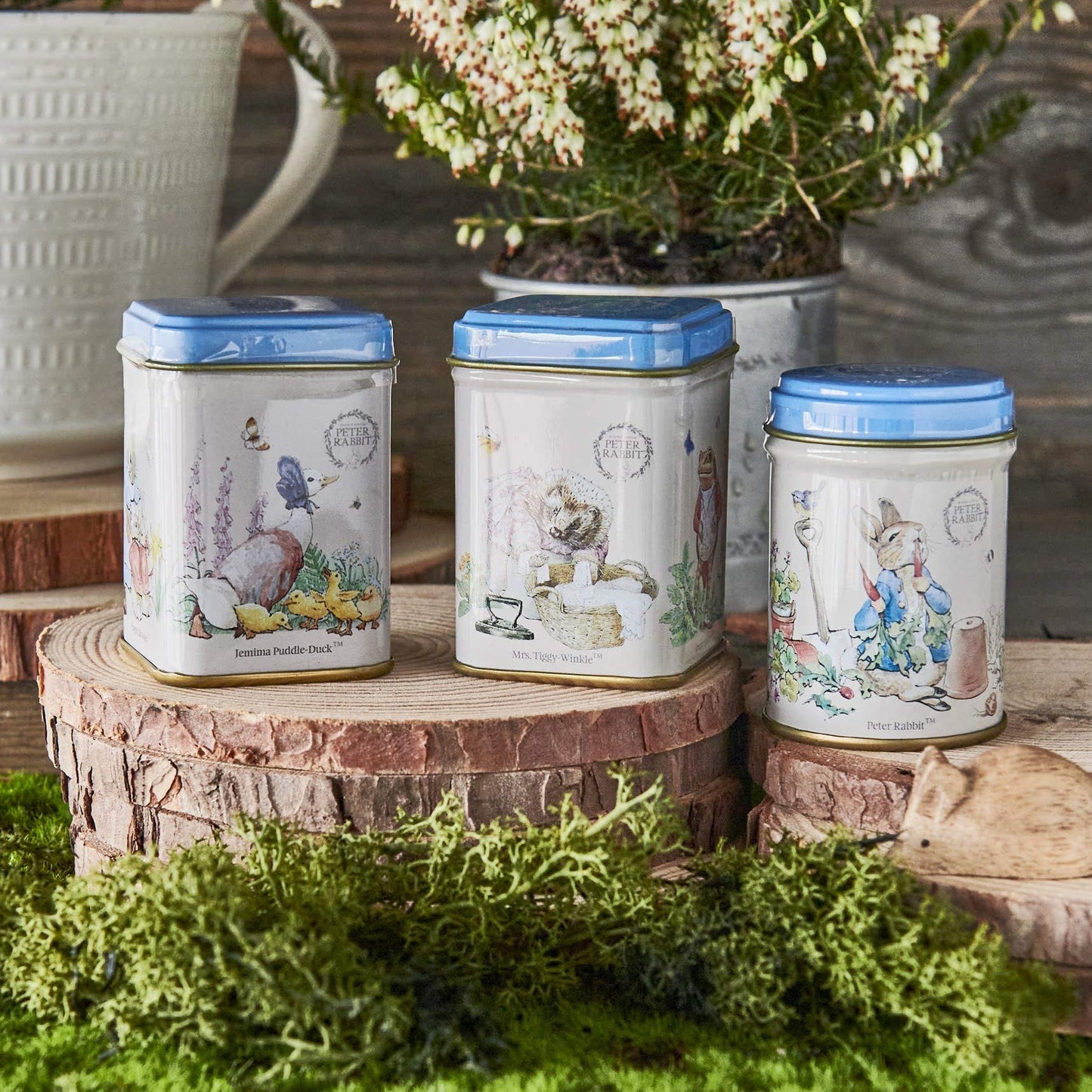 Peter Rabbit 3x Mini Tea Tins with Loose Leaf English Tea, Beatrix Potter Gift, Small Caddy Set