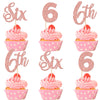 24 PCS Six Cupcake Toppers Glitter 6th Birthday Cupcake Picks Number 6 Cupcake Decorations for Baby Shower Kids 6th Birthday Ann