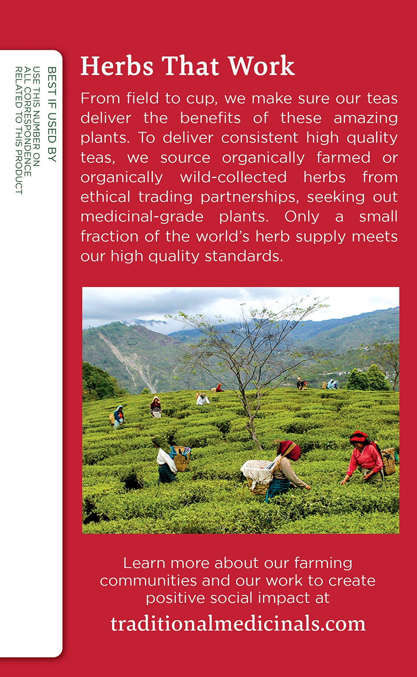 Traditional Medicinals Organic Echinacea Plus Herbal Tea, Spearmint Flavor, 32 Tea Bags, Pack of 2, Model 032917000514